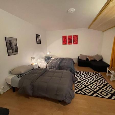Chez Pierre Apartment Vitry-le-Francois Ngoại thất bức ảnh